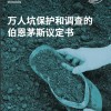 Mass graves - Simplified Chinese translation 